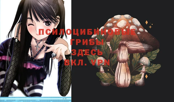стафф Михайлов