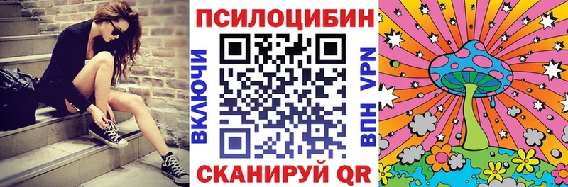 Псилоцибиновые грибы Psilocybe  Магадан 